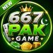 667pak Game